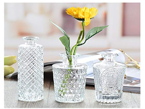 Set of 3 Mini Clear Glass Vase,Small Flower Bud Vase Hydroponics Planter Decorative for Flower,Table,Party,Home,Centerpieces(Clear 2) - color: Clear 2