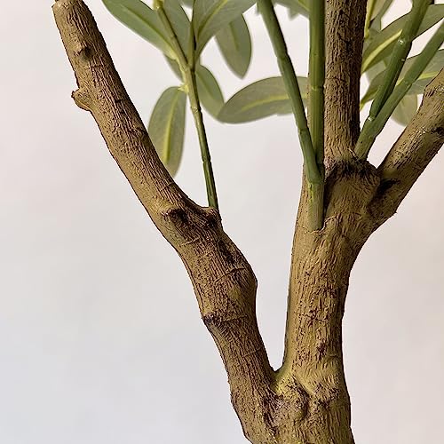 Hairui Lighted Olive Tree with 300 Warm White Fairy Lights 6FT with Dimmer and Timer, Faux Greenery Tree Lights for Indoor Outdoor Home Decoration - style: 6FT-Olive Tree