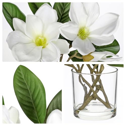 Briful Artificial Magnolia Flower Arrangement in Glass Vase 10'' White Fake Magnolia Silk Flowers with Vase Faux Flower Centerpiece for Home Office Dining Room Table Shelf Decor