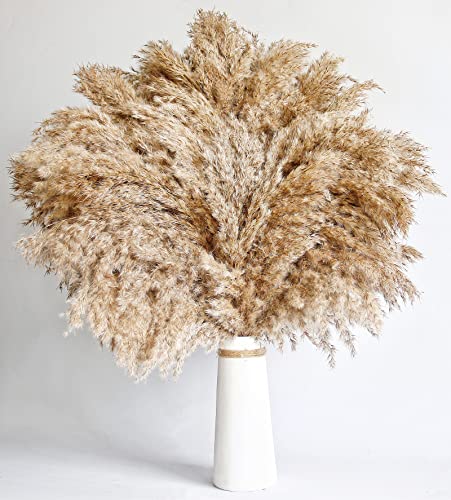 60 PCS Boho Decor, Fluffy Pompas Grass, Natural Dry Pampas Grass Small, Short Pampass Bulk for Boho Room Decor, Coffee Table Decor (17 inch ) - size: 60PCS-Natural and White