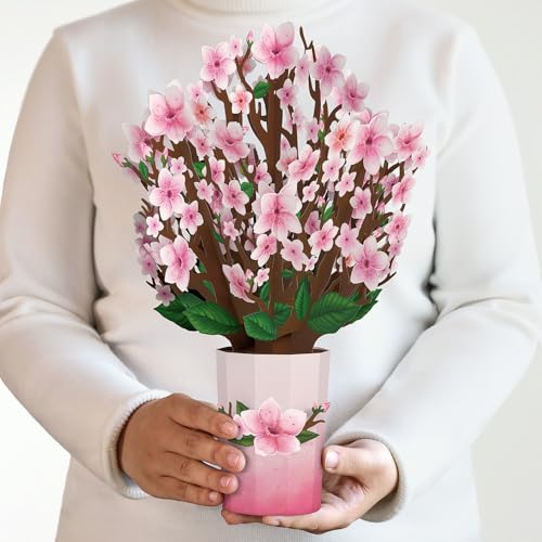 Lovepop Everyday Pop-Up Card for Her and Him - 3D Pop-Up Bouquet Greeting Cards for Men, Women - Cherry Blossom - 12" x 8.5" Floral Bouquet - Blank Note Card Included - color: Cherry Blossom Bouquet