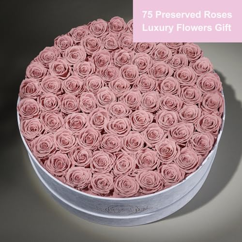 Prifroti 75 Preserved Roses in Suede Box – Luxury Rose Flower Arrangement, Preserved Flowers Gifts for Women, Wife or Mom – Birthday, Anniversary, Valentine’s Day, Mother's Day (Dusty Rose) - color: Dusty Rose, size: 75 Roses