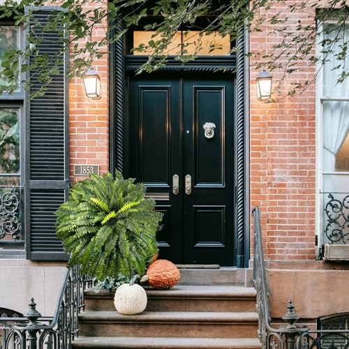 Forestwave Fake Ferns Artificial Plants Large, 51" Faux Boston Fern with Wooden Strips & 66 Fronds, Suitable for Outdoors Indoors Planters Home Porch Entrance Hall Decor, Realistic/UV Resistant