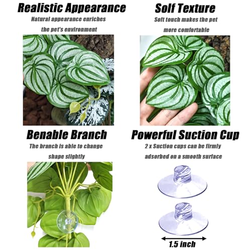 Woyrise 2 Pack Reptile Plants, Terrarium Hanging Plant Vines, Artificial Leaves with Suction Cup, Bearded Dragon Tank Accessories for Gecko Lizard Snake Frog Tortoise Decorations - Calathea Orbifolia - color: Calathea Orbifolia