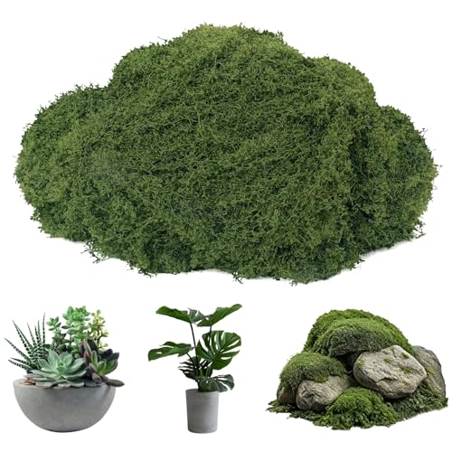 dallisten Fake Green Moss for Plants Indoor, 5.3oz Artificial Moss for Crafts, DIY Fairy Garden Décor, Table Centerpieces, Wedding Floral Arrangements, Model Making & Indoor Outdoor Home Decoration - color: Dark Green