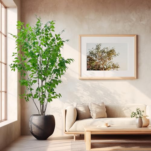 7ft Artificial Ficus Tree with White Plastic Planter | Collapsible trunk structure enables quick assembly and compact space-saving storage - color: Green, size: 7ft