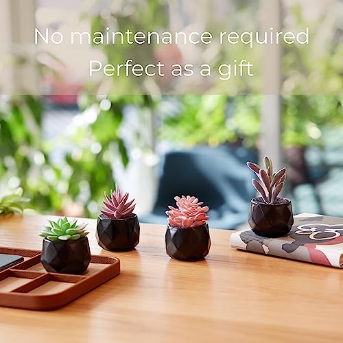 Nordik Set of 4 Desk Plants - Geometric Round Black Pots - Perfect for Bathroom, Bedroom Decor Aesthetic - Ceramic Fake Plant for Office or Living Room Decor - Ideal for Women - color: Matte Black