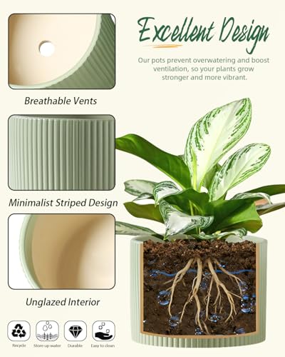 Ceramic Plant Pots, 8.1 + 6 Inch Planters for Indoor Plants, Modern Flower Pot for Plant with Drainage, Medium Cylinder Flower Pots for Indoor/Outdoor, House Plants, Matte Green - color: Matte Green