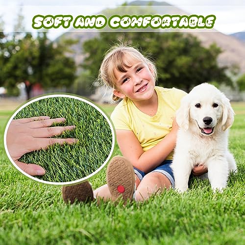 CooZero Artificial Grass, Professional Dog Grass Mat, Potty Training Rug and Replacement Turf Outdoor Rug Patio Lawn Decoration, Easy to Clean with Drainage (39.4 x 31.5 inch) - size: 39.4 x 31.5 inch