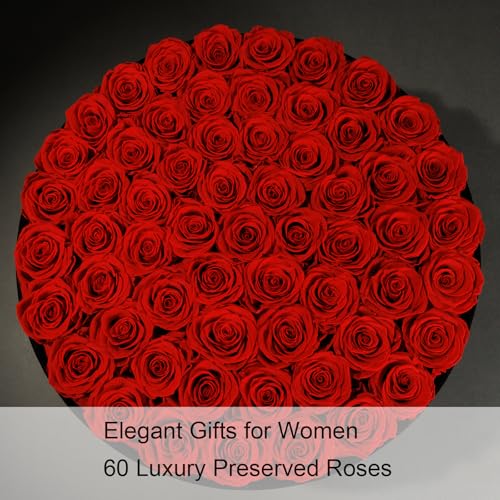Gifts for Women – NATROSES 60 Preserved Roses in Luxury Black Velvet Box, Preserved Flowers for Delivery Gift for Her, Elegant Rose for Birthday, Mother’s Day, Christmas (Red) - color: Red, size: 60 Roses