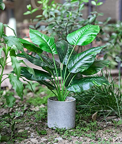 Der Rose Bundle of 2pcs 16" Fake Plants Artificial Plants and Set of 2 Fake Succulent Plants for Farmhouse Bathroom Kitchen Office Home Decor Indoor