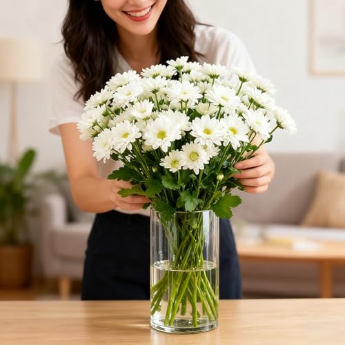 12pcs Thick Glass Cylinder Vase 6 Inch – Clear Glass Flower Vase & Floating Candle Holders for Centerpieces,Cylinder Vases Bulk Weighted Base for Wedding, Home & Dining Table Décor Gift - size: Smooth-12PCS