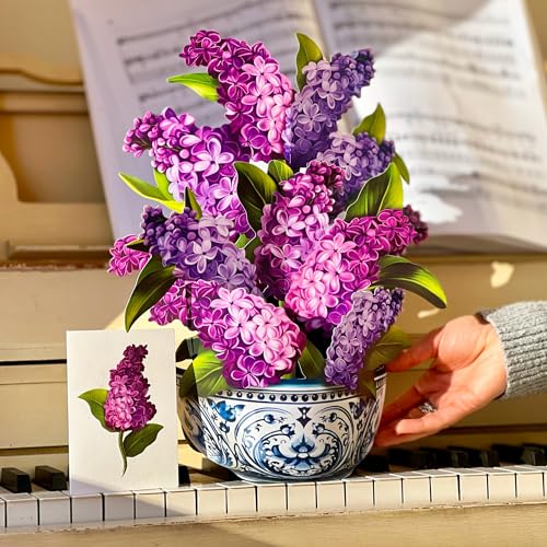 Freshcut Paper Pop Up Cards, Garden Lilacs, 12 Inch Life Sized Forever Flower Bouquet 3D Popup Greeting Card, Birthday Cards, Thank You Card, Blank Notecard & Envelope - color: Garden Lilacs, size: Classic