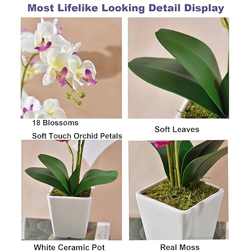 Faux Orchid in Vase Tall Artificial Orchid in Ceramic Vase Tall Silk Orchids with Stems Real Look Potted Fake Phalaenopsis Arrangement Centerpiece Table Decorations for Home Decor Indoor, White - color: Y-white