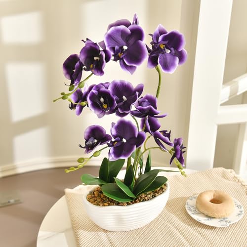 19" H Phalaenopsis Faux Orchid Plant Silk Orchid Centerpiece Artificial Floral Arrangement in Ceramic Pot (Deep Purple) - color: Deep Purple