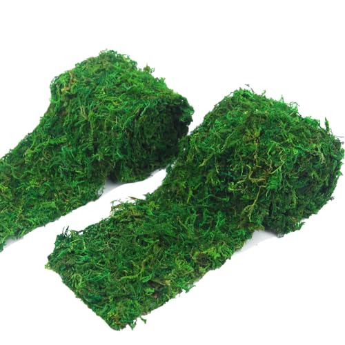 FAICOIA 2 Pcs Floral Moss Roll Rug 4" x 48" Dried Moss Mat for Crafts Table Runner Fairy Gardens Wedding Woodland Decor Preserved Green Moss Sheets for Forest Decoration Carpet Grass Wall 10x120cm - color: 2 Pcs 4 X 48 Inch/10 X 120 Cm