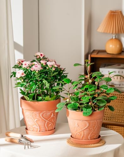 Melphoe Plant Pots Indoor with Drainage & Saucer, 2Pack 7/8 inch Flower Pots Outdoor Planters for Indoor Plants Garden Home Decor Cactus Succulent, Rigid Plastic (Imitation-Terracotta) Vine-Embossed - color: Terracotta Color, size: 7''+8"