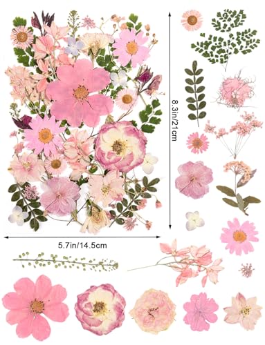 80pcs Pink Pressed Flowers Bulk, Romantic Dried Flower Leaves, Natural Pressed Dried Flowers with Tweezer for DIY Crafts Resin Mold Candles Cake Bridal Scrapbooking Supplies - size: Pink 80pcs