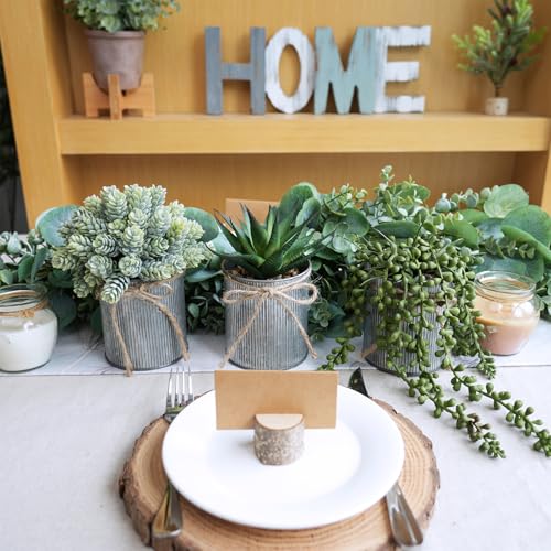 Winlyn Set of 3 Small Artificial Succulent Potted Plants Faux Aloe Hops Hanging Succulent in Rustic Galvanized Metal Pots Fake Plant Decor for Farmhouse Home Office Wedding Windowsill Table Shelf - color: Galvanized Metal Pot