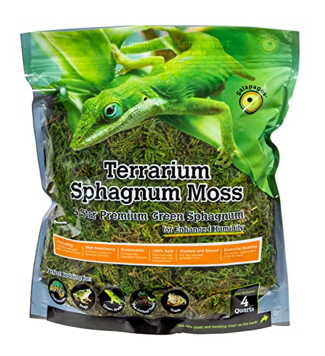 Galápagos (05213) Terrarium Green Sphagnum Moss, Natural, 4 Quart (Pack of 6) - size: 4 QT (Pack of 6)