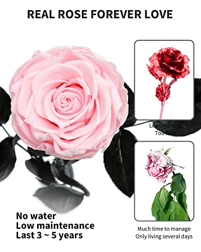 Pink Flowers for Delivery Prime, Preserved Pink Roses Flower Gifts for Women, Real Roses Single Rose Gifts for Her, Mom Birthday Gifts from Daughter, Valentines Flowers - color: 04-pink