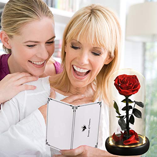 Mothers Day Rose Flower Gifts, Beauty and The Beast Rose Gifts for Women Wife Mom Girlfriend,Preserved Real Rose in Glass Dome,Forever Flowers with Warm Lights,Birthday Gifts for Women - color: Led Rose