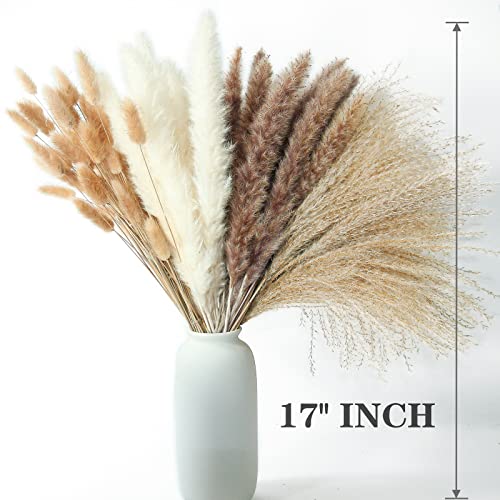 220 PCS Dried Flower Bouquet – Pampas Grass, Floral Decor for Home, Wedding, and Boho Style | Perfect for Vases, Fall, Spring, Summer, and Winter Arrangements - size: 220PCS