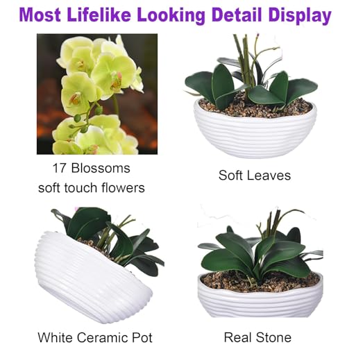 19" H Phalaenopsis Faux Orchid Plant Silk Orchid Centerpiece Artificial Floral Arrangement in Ceramic Pot (Apple Green) - color: Apple Green