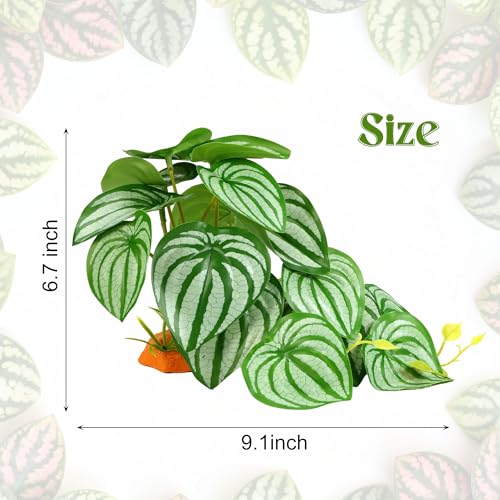 Reptile Plants for Terrarium, Amphibian Habitat Decor Plant, Artificial Plants for Gecko Lizard Chameleon Ball Python Snake with Base，Bearded Dragon Tank Decorations - Fake Calathea Orbifolia - color: Fake Calathea Orbifolia