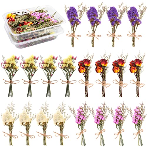 20Pcs Don't Forget Me Flower Bouquets Natural Forget-me-nots Dried Flower Bouquet Myosotis Sylvatica Dry Flower Leaves Lagurus Dried Embossing Flower Bundle Plant Stem Bunch for DIY Craft,Photo Props - color: 20pack