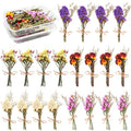 20Pcs Don't Forget Me Flower Bouquets Natural Forget-me-nots Dried Flower Bouquet Myosotis Sylvatica Dry Flower Leaves Lagurus Dried Embossing Flower Bundle Plant Stem Bunch for DIY Craft,Photo Props - color: 20pack
