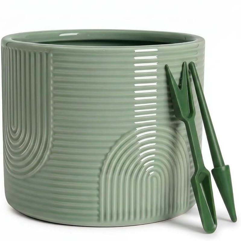 6 Inch Ceramic Plant Pot – Decorative Indoor Planter (No Drainage Hole) for Succulents, Herbs & Houseplants – Modern Tabletop Desk Planter – Sage Green - color: Sage Green