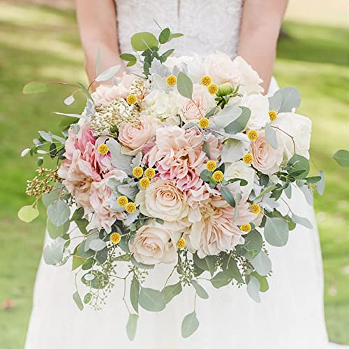 Uieke 40Pcs Natural Dried Flowers Dried Craspedia Billy Balls Flowers, Dried Billy Buttons 16" Yellow Flowers Arrangements for Farmhouse Wedding Home Party DIY Decor - color: Yellow-11mm-40pcs