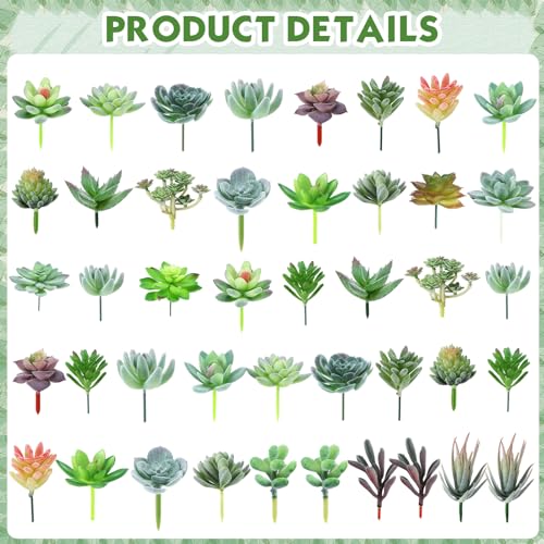 Tigeen 80 Pcs Artificial Plastic Succulents Realistic Textured Assorted Decorative Faux Succulent Fake Faux Succulents Unpotted for Lotus Landscape Garden Arrangement (Classic Style) - style: Classic Style