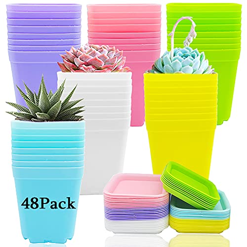 Haawooky 48 PCS 3 Inch Colorful Plastic Plant Pot,Plastic Square Nursery Pots,Seedling Nursery Pots with Saucers for Garden,Home,Office,Balcony Decor,Garden Gifts - size: 48 pack