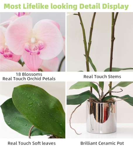 CXGS Artificial Orchid Flower Plant Real Touch Faux Orchids in Ceramic Vase Pink 19.7'' Fake Phalaenopsis Flower Arrangement Centerpiece Home Indoor Decor - color: Pink- Silver