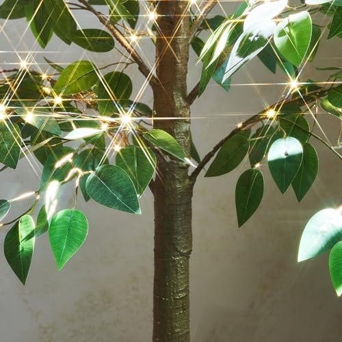Hairui Artificial Ficus Silk Tree Lights 6FT 264 LED Fairy Lights, Faux Plant Tree with Lights for Home Room Spring Summer Christmas Decoration Indoor - style: 6FT Ficus Silk Tree