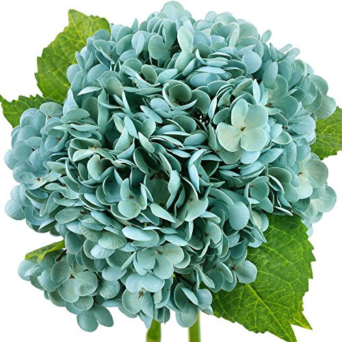 FiveSeasonStuff Real Touch Silk Hydrangea Flowers, 2 Large Long Stem Artificial Flowers for Floral Arrangements (Bermuda Blue) - color: Bermuda Blue (2 Stems)