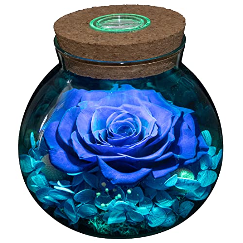 Preserved Real Roses with Colorful Mood Light Wishing Bottle, Eternal Rose，Never Withered Flowers, Table Decor,Christmas Anniversary Valentine's, Blue 4.3inch, 1pcs - color: Blue
