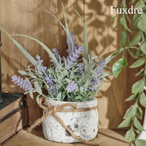 Small Fake Plants, 2 Pack Mini Artificial Plants Fake Lavender Plant in Pot, Lavender Decor and Dining Room Desk Shelf Bathroom Living Room (A-2pcs) - color: Purple