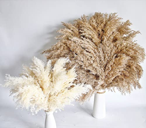 60 PCS Boho Decor, Fluffy Pompas Grass, Natural Dry Pampas Grass Small, Short Pampass Bulk for Boho Room Decor, Coffee Table Decor (17 inch ) - size: 60PCS-Natural and White