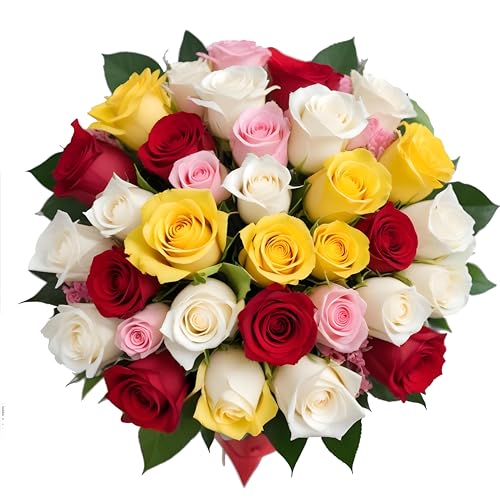 25 Rainbow Roses Assorted Color | Arabella Bouquets | Real Fresh Flowers for Delivery, Gift for Birthday, Women, Congratulations, Anniversary, Thank You, Mother's Day - color: Assorted, size: 25 Stems