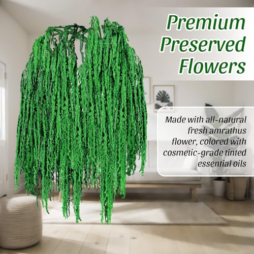 Suncalla Spring Natural Dried Amaranthus Hanging Flowers Amaranthus Artificial Flowers for Wedding Arch Bouquet Floral Garland Wall Home Decoration - color: Apple Green