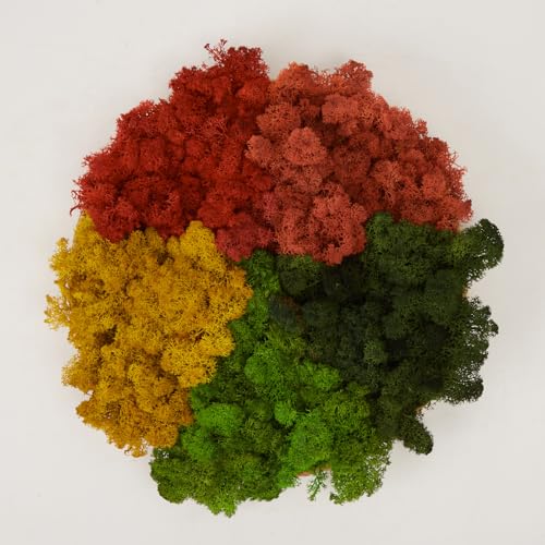 Preserved Reindeer Moss Natural Green DIY Kit Gardenning Art Wall Decor Florist Decor Easter Table Decor Wedding - color: Style-11, size: 1 lb