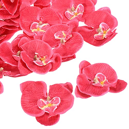 PATIKIL 10cm/3.9" Artificial Orchid Flower Heads, 20 Pack Silk Phalaenopsis Fake Butterfly Orchid Heads for Wedding Floral Bouquet Decor DIY Craft Making, Fuchsia - color: Fuchsia, size: 3.9"