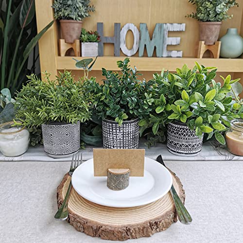 Winlyn Set of 3 Small Potted Plants Artificial Eucalyptus Rosemary Boxwood Plants in Black and White Geometric Pots for Table Centerpiece Kitchen Counter Windowsill Indoor Outdoor Garden Greens Decor