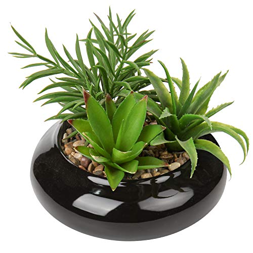 Hollyone Large Artificial Succulents Plants Faux Succulents in Pots Fake Succulent Potted Plants with Black Ceramic Pot for Home Decor Office Desk Bathroom Living Room Indoor & Outdoor Decorations - color: 1pack - Black Ceramic