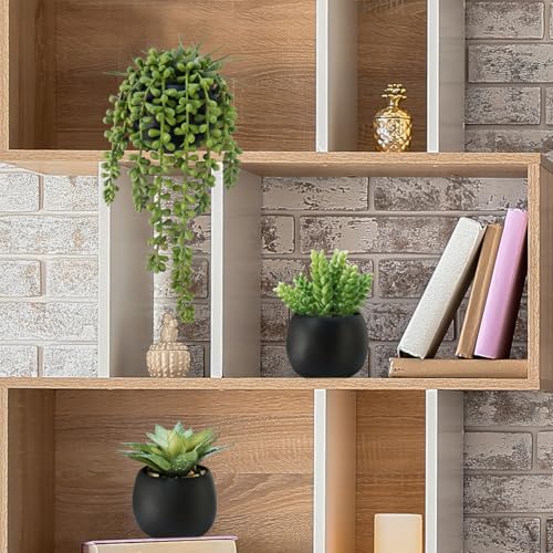 Winlyn Set of 3 Artificial Succulents Plants in Black Cement Planters Faux Potted Plants Aloe String of Pearls Donkey Tail Small House Plants 5" Tall for Table Shelf Home Office Bathroom Living Room - color: Black Cement Pots