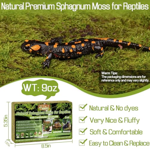 Halatool 9OZ Natural Sphagnum Moss for Reptiles- 14QT Green Moss for Terrarium Plants Long Fiber Reptile Moss for Leopard Gecko Snake Hamsters Tortoises Frogs Lizards Salamanders - size: 9OZ