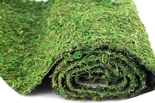 SuperMoss (22396) Instant Green Moss Mat - Preserved Moss Sheet for Table Runners Crafts Garden Decor and Green Wall Displays, 3ft x 50ft - color: Fresh Green, size: 3ft x 50ft